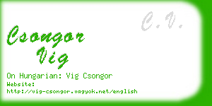 csongor vig business card